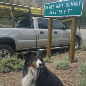 3.5'' Nylon brush mandrel