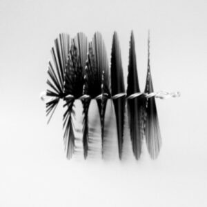 8" Wire brush mandrel